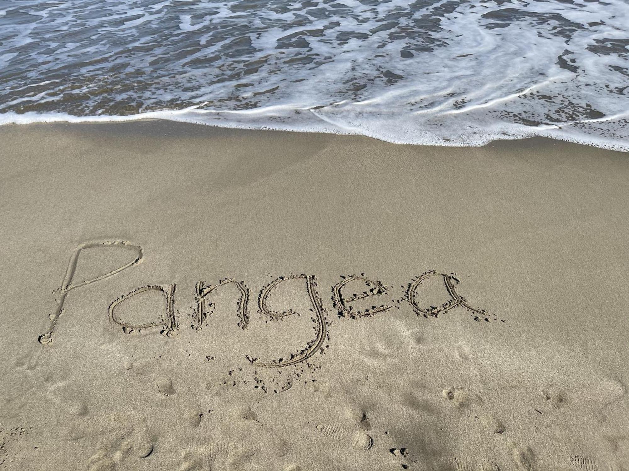 Casa Blanca Beachfront House With Shared Pool Access Pangea Lodge Manzanillo  Ngoại thất bức ảnh